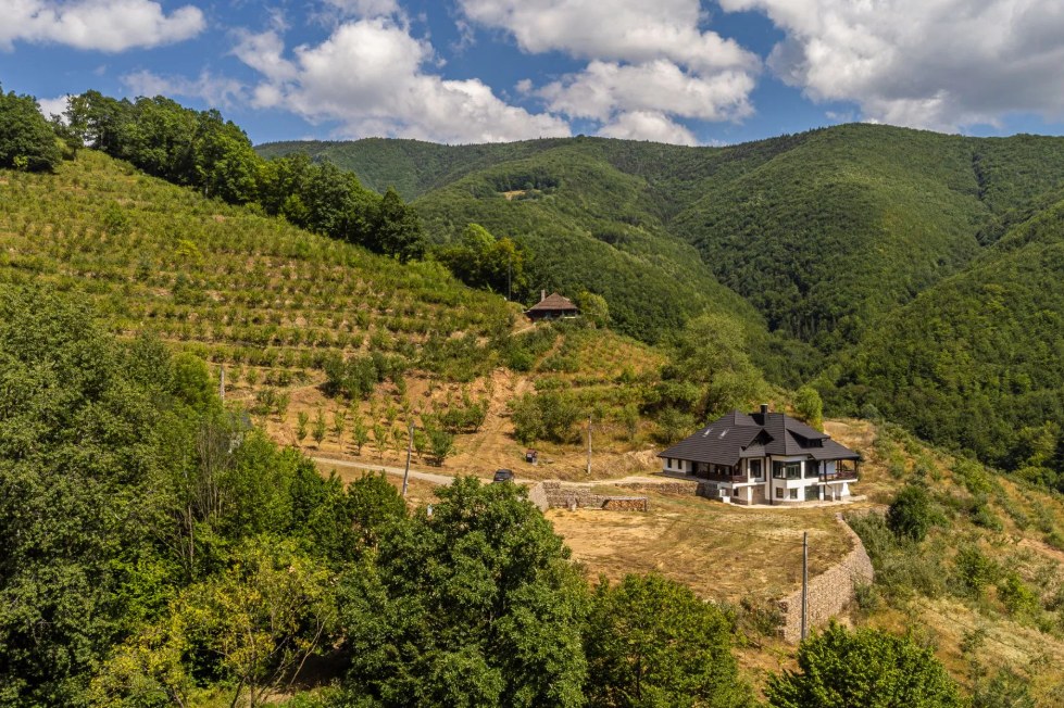 Domeniu privat de 22 hectare în Munții Apuseni, disponibil pentru vânzare