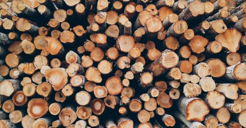 Deficit de lemn pentru industrie si excedent de lemne pentru foc