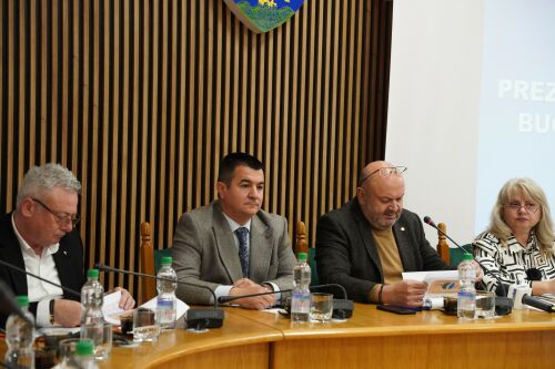 Jumatate din bugetul judetului Arges merge spre investitii